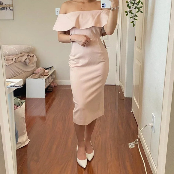 Aritzia Babaton Ruslan Dress NWT Pink Prima Rose Size 10 - Picture 1 of 9